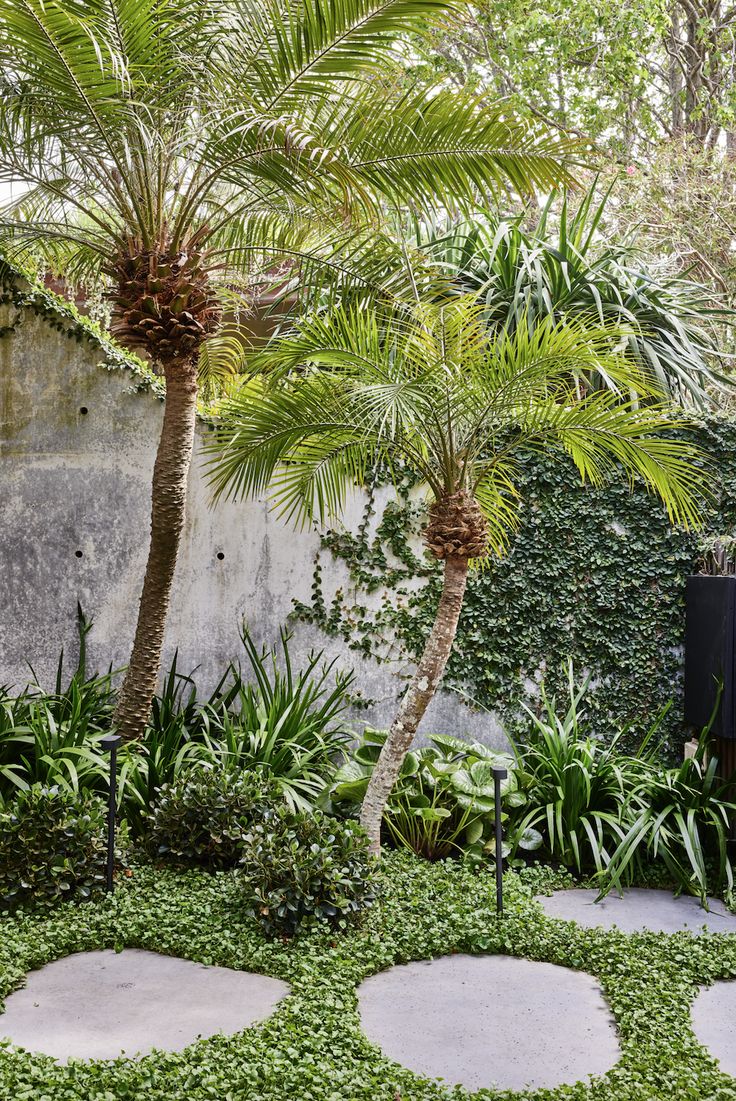 Beautifully landscaped sub-tropical garden with palms and bluestone steppers. The perfect urban garden for a fraser coast climate.