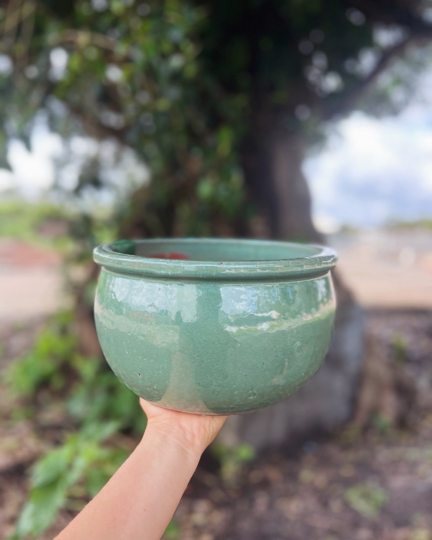 Glazed Flat-Rim Bowl Planter