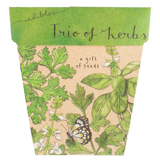 Trio of Herbs Gift of Seeds