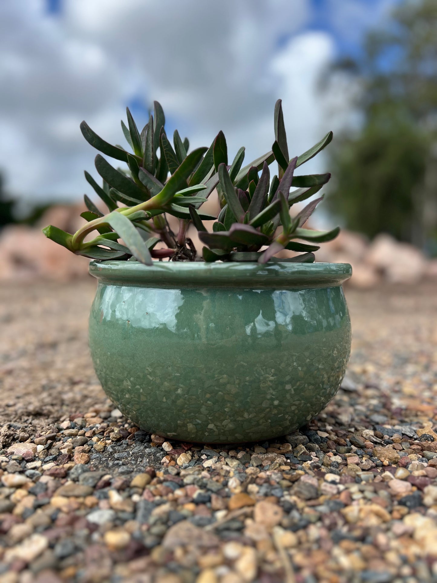 Glazed Flat-Rim Bowl Planter