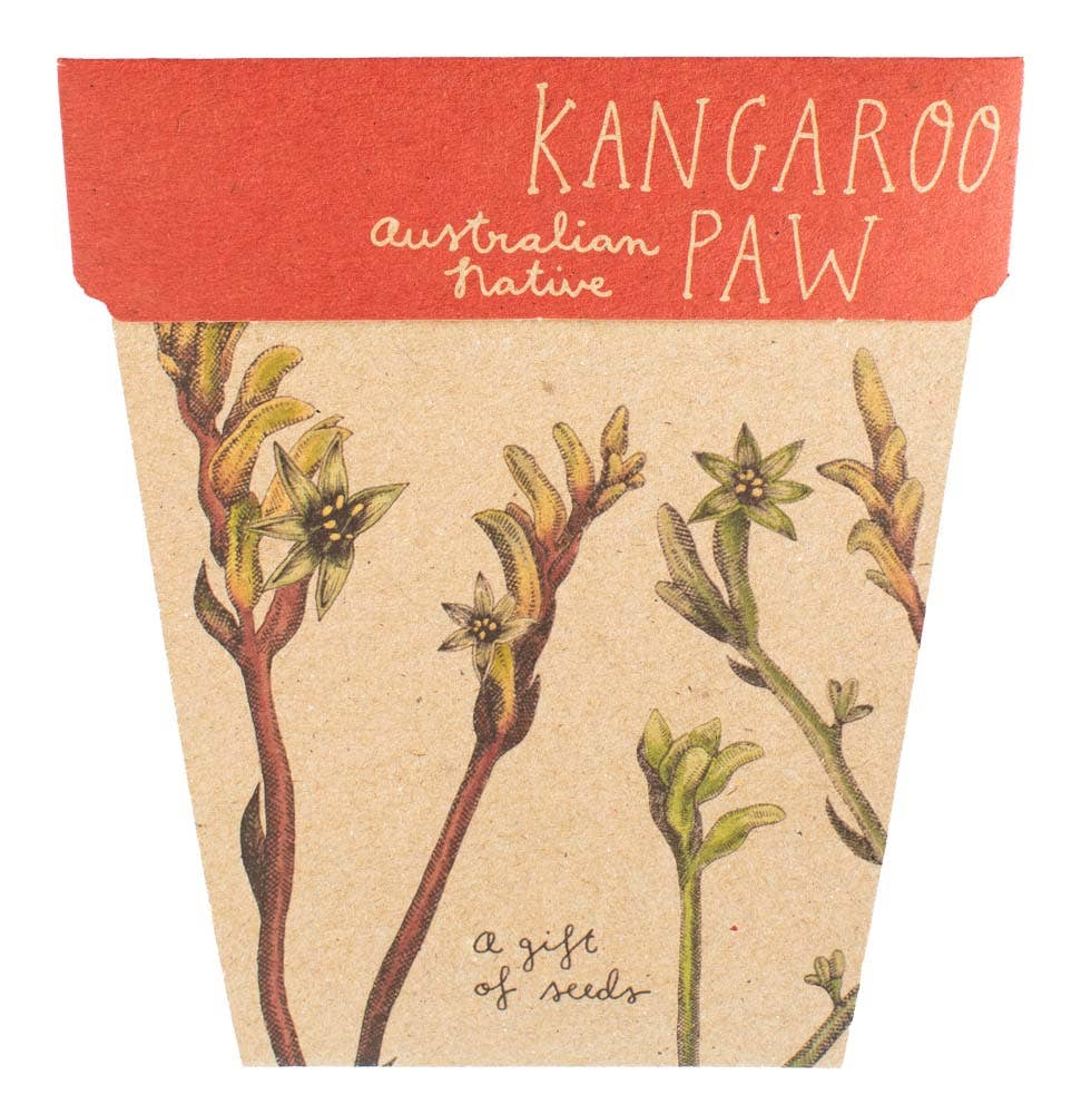 Kangaroo Paw Gift of Seeds 