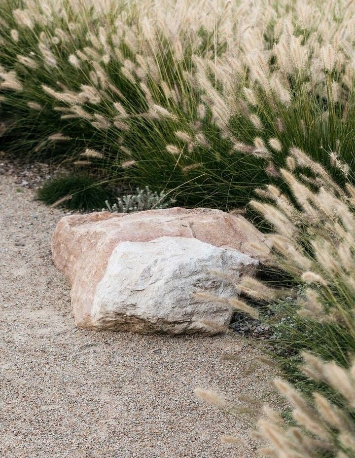 Sandstone Rocks