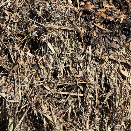 Forest Mulch